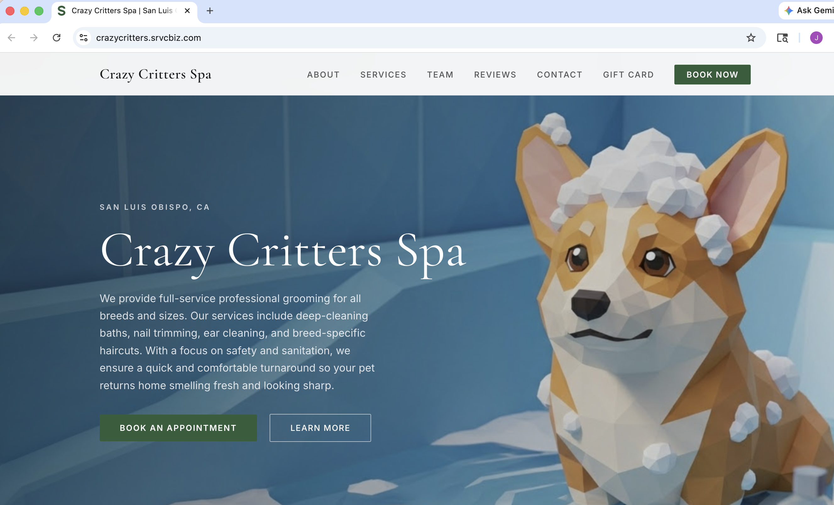 Example website built on SiteSolns